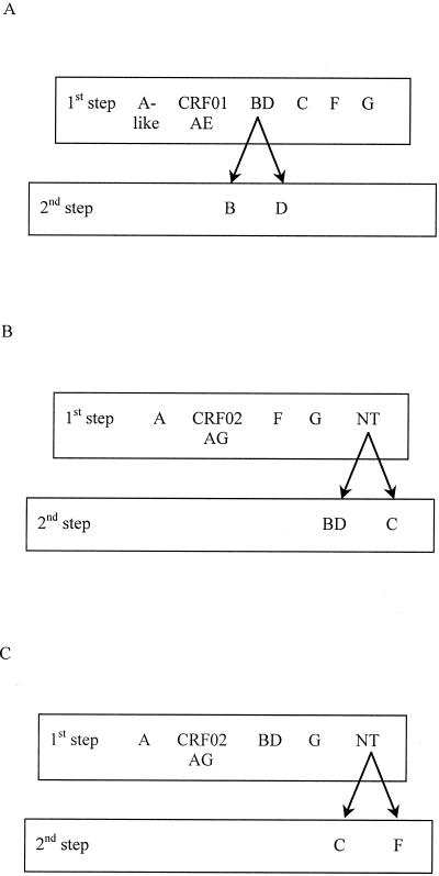 FIG. 2.