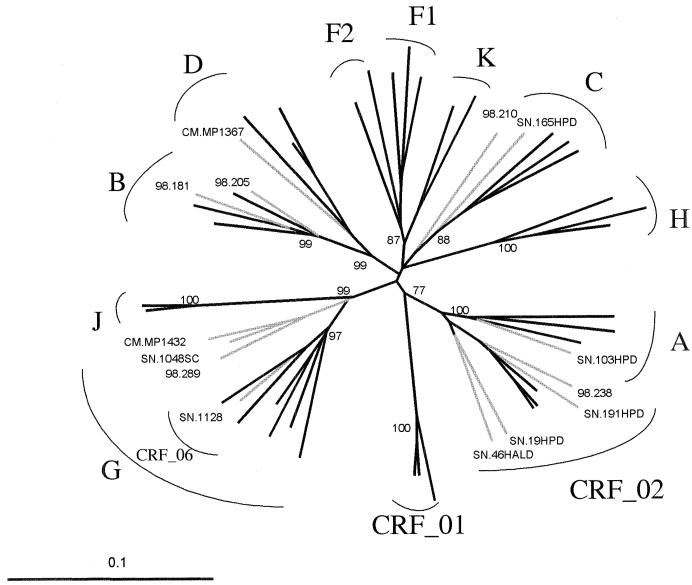 FIG. 5.