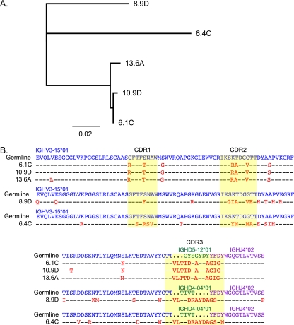 FIG. 2.