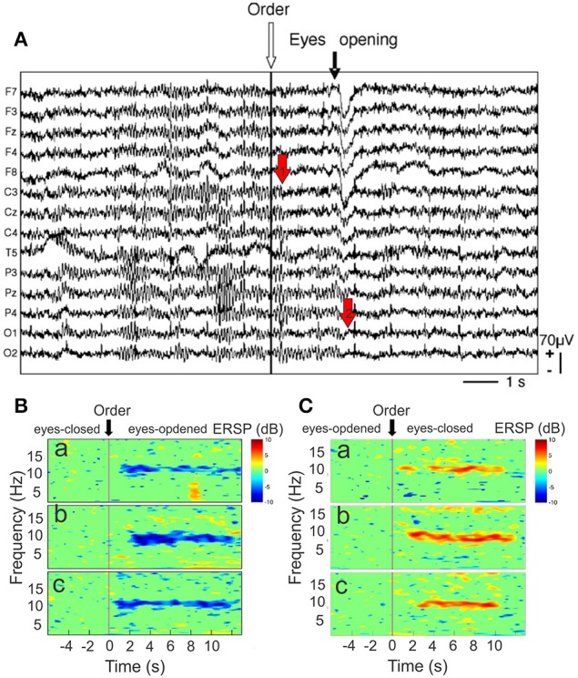 Figure 6