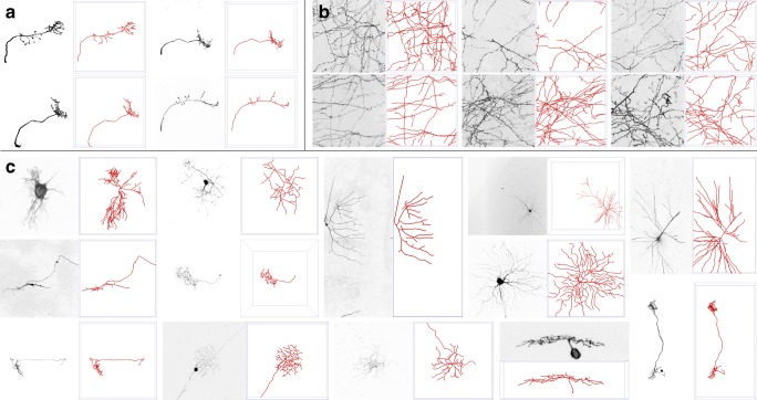 Fig. 13