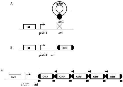 FIG. 1.