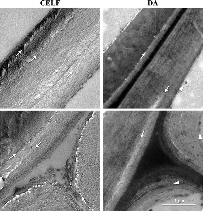 Fig. 6