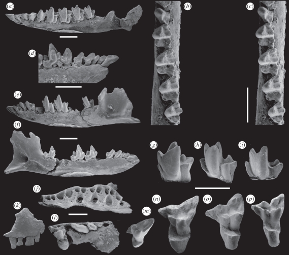 Figure 3.