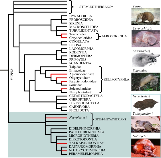 Figure 2.