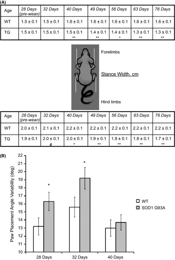 Figure 23