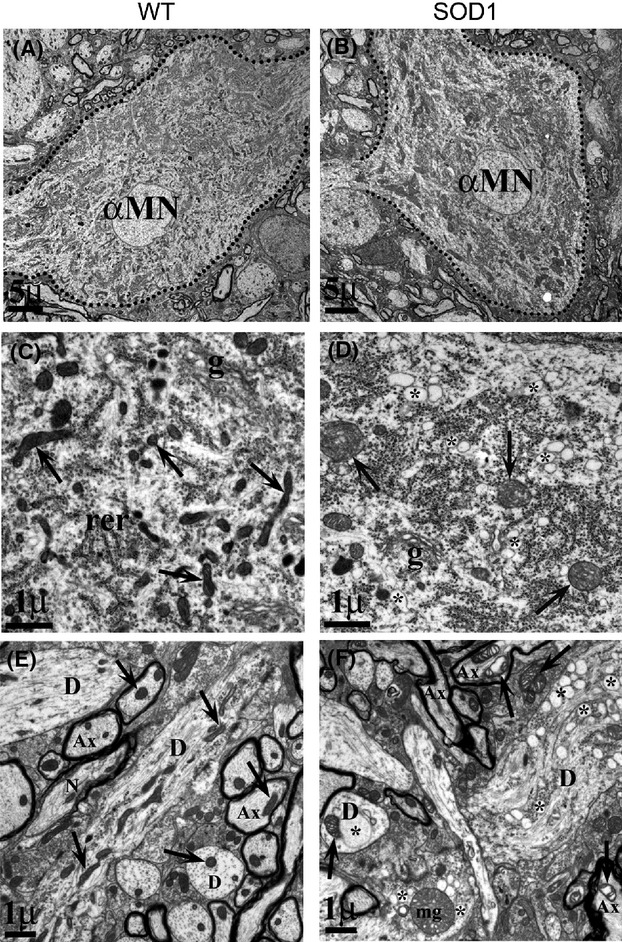 Figure 16