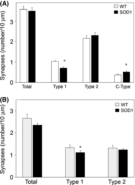 Figure 20