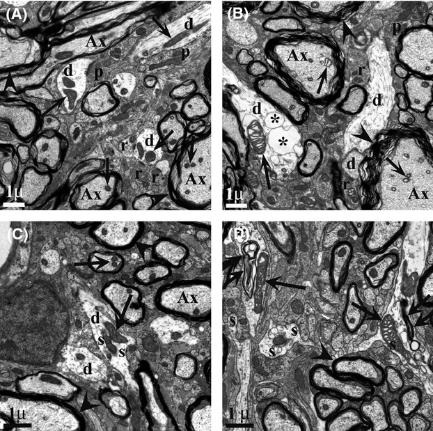 Figure 17