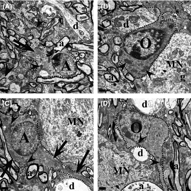 Figure 22