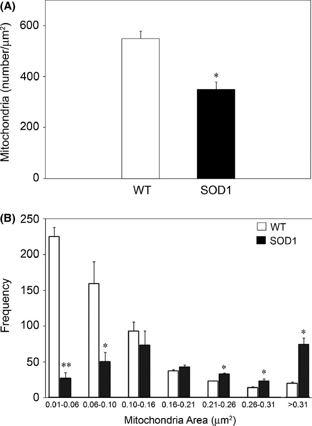 Figure 18