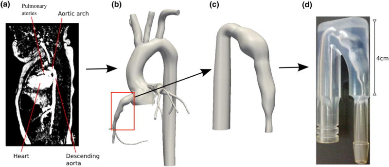 FIGURE 1