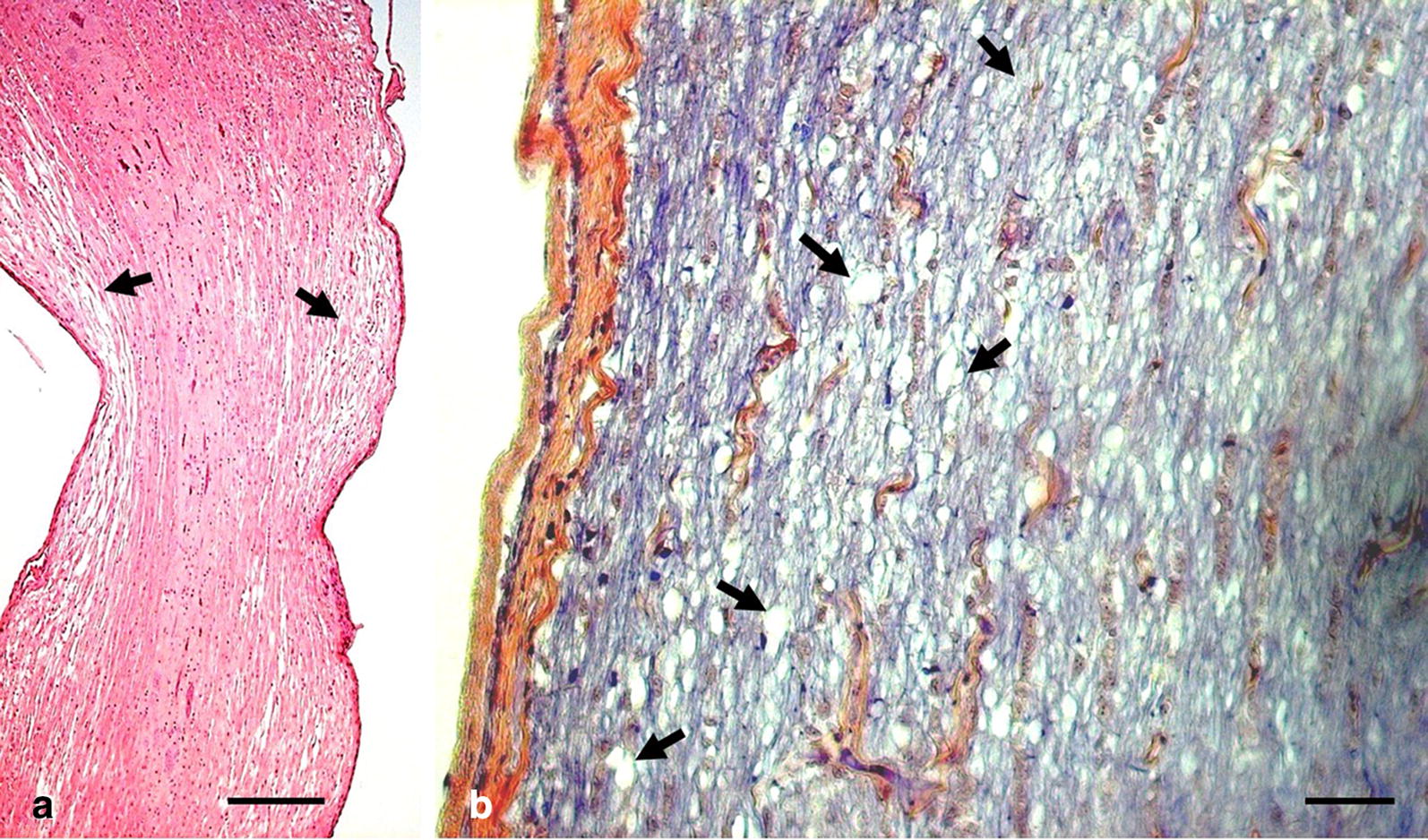 Fig. 5