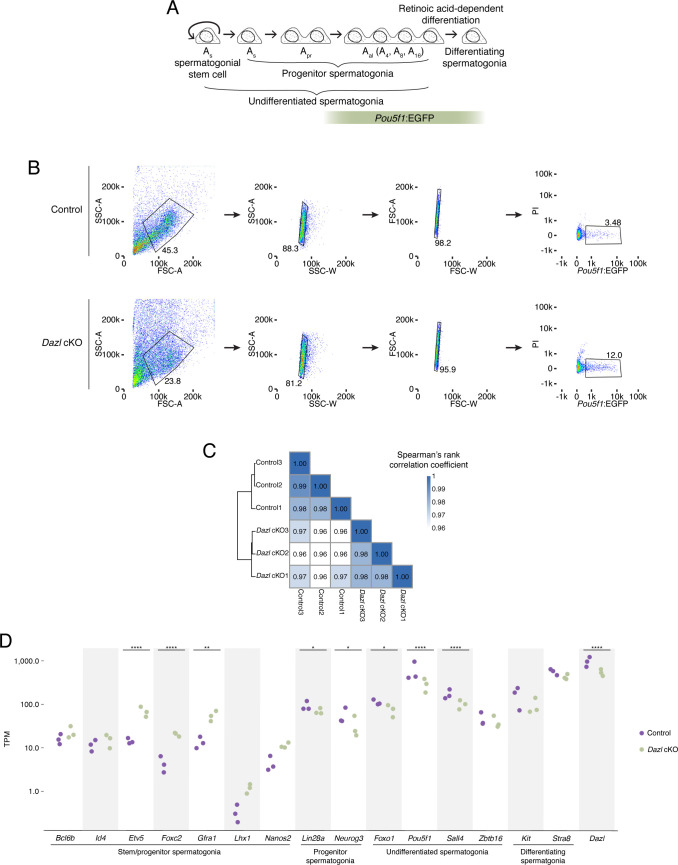 Figure 1—figure supplement 3.