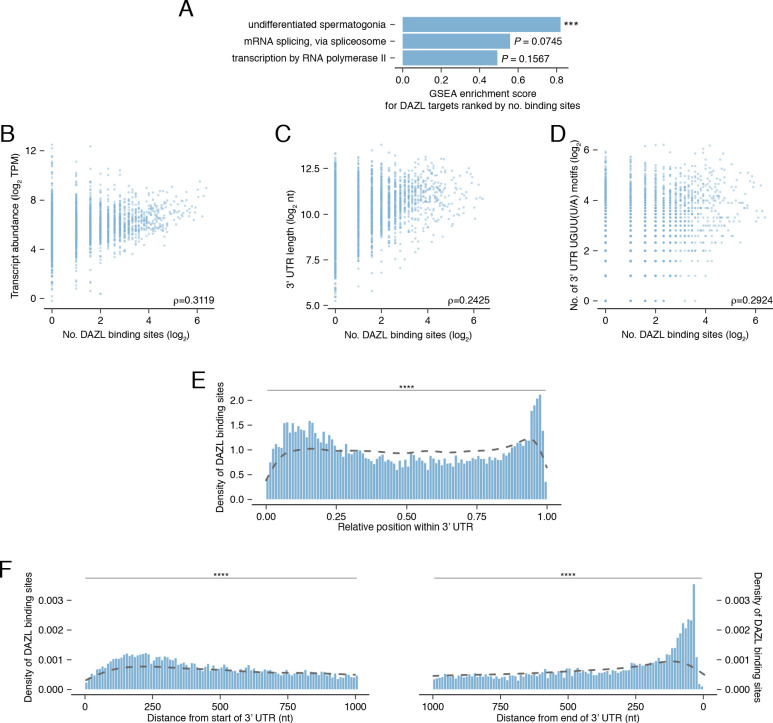 Figure 4—figure supplement 2.