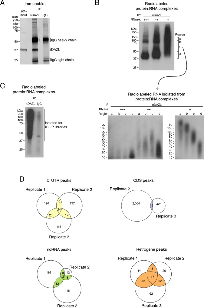 Figure 2—figure supplement 2.