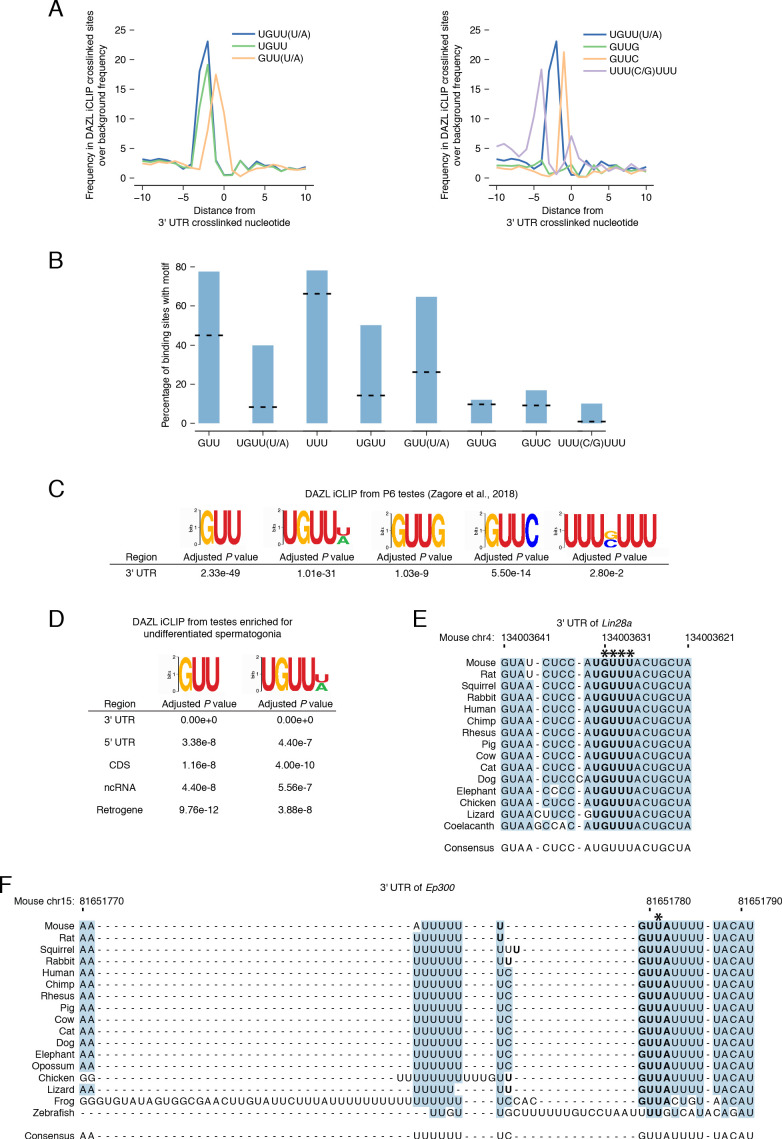 Figure 4—figure supplement 1.