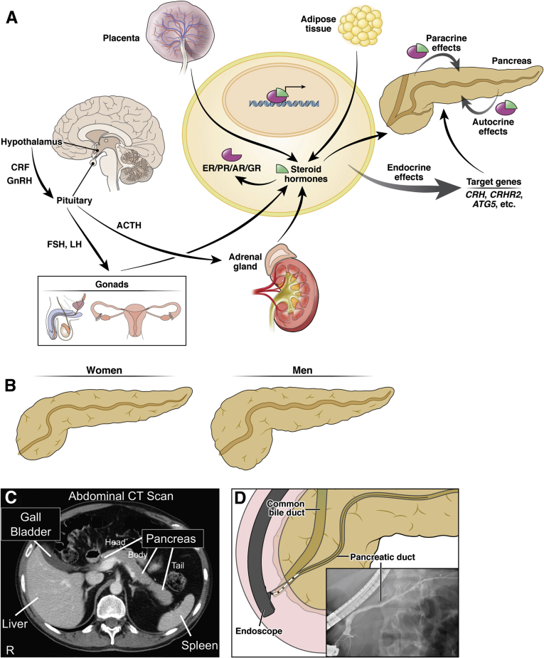 Figure 1