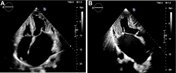 Figure 1