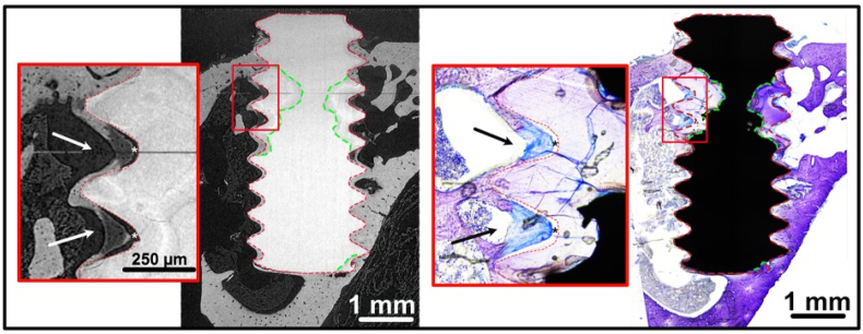 Fig. 9