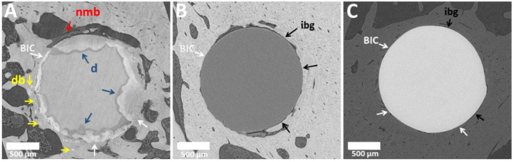 Fig. 10