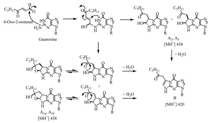 Scheme I