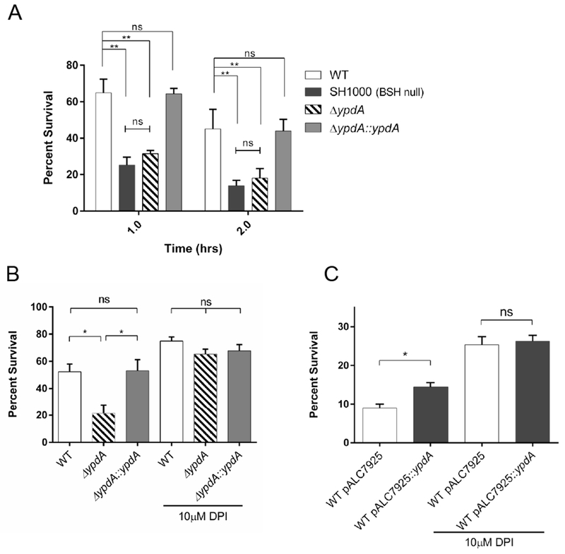 Figure 7: