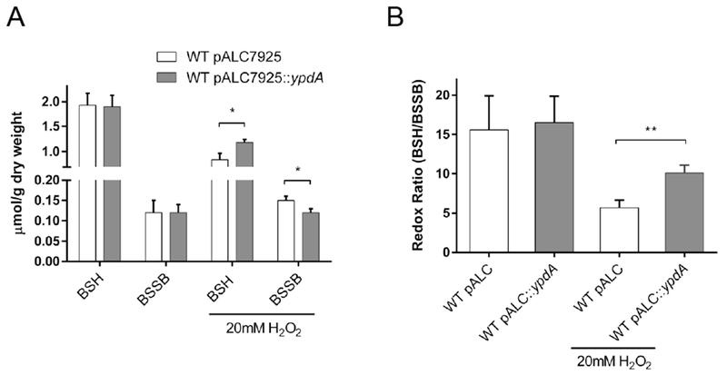 Figure 6: