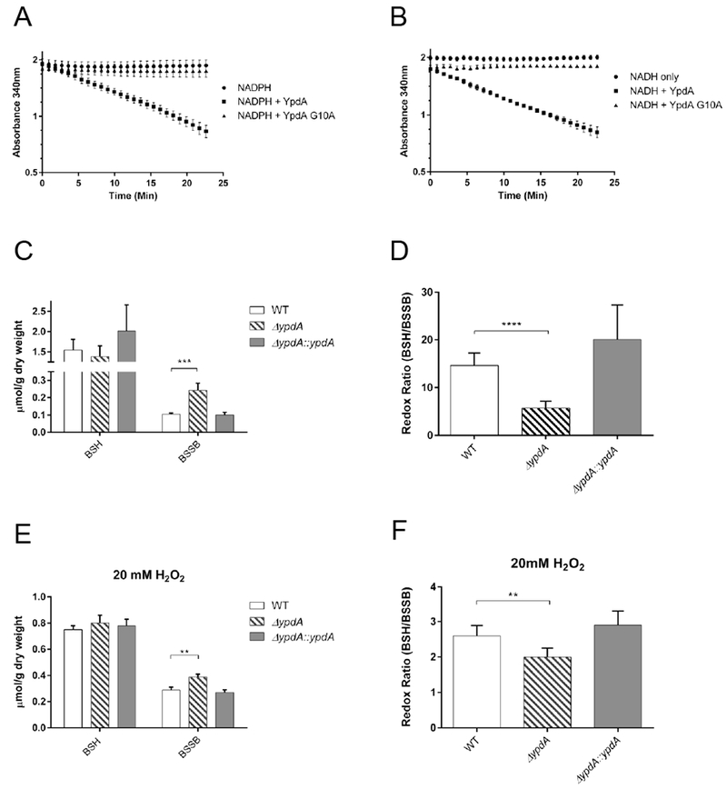 Figure 4: