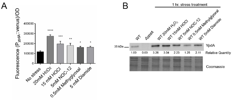 Figure 3: