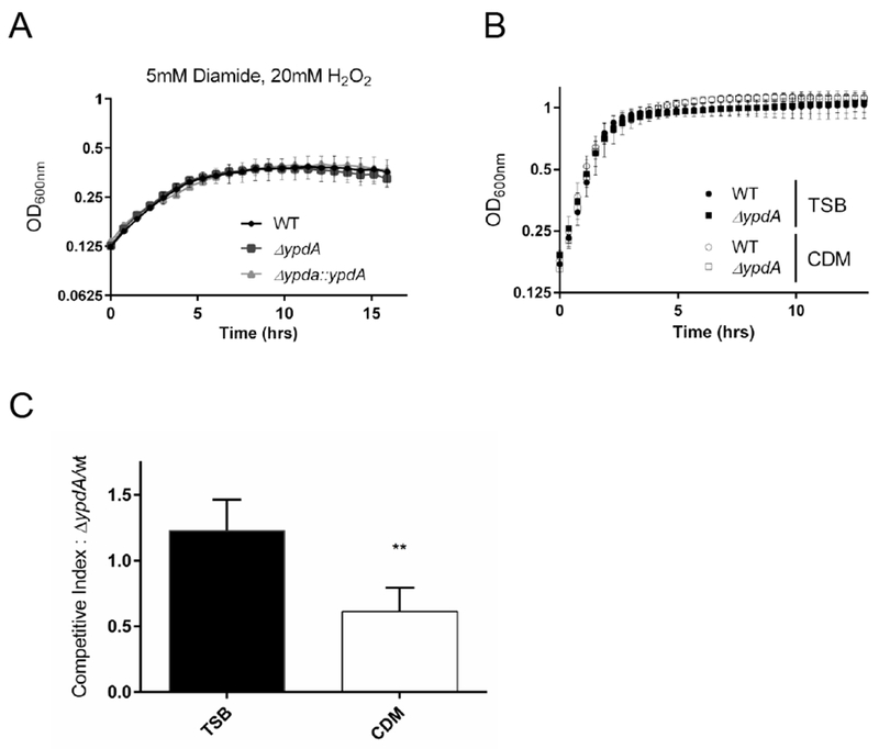 Figure 1: