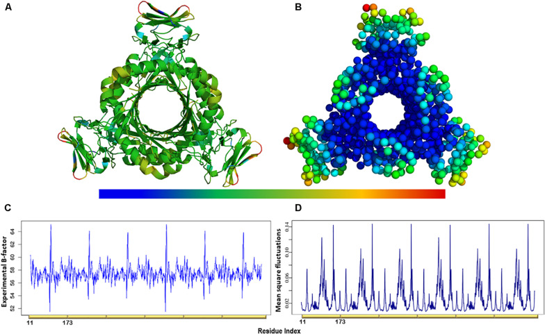 FIGURE 4