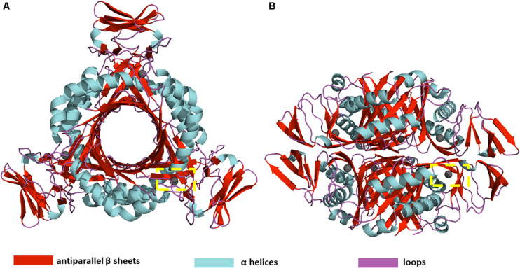 FIGURE 1