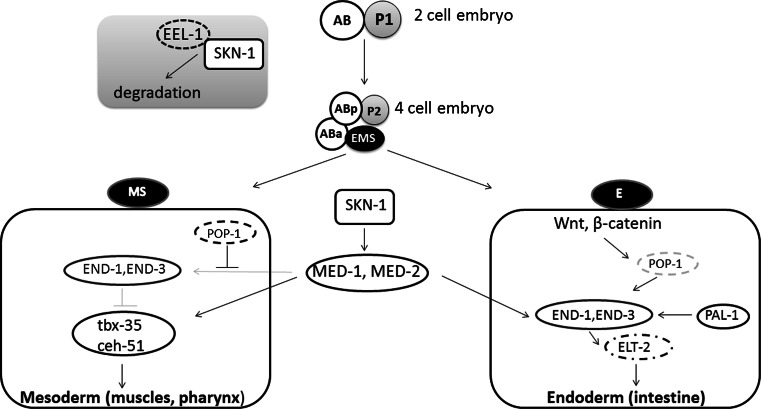 Fig. 3