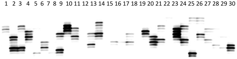 Figure 6