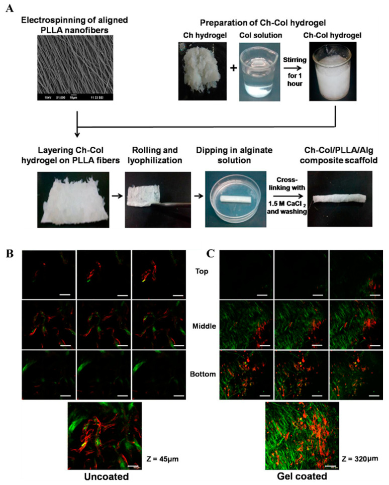 Figure 16