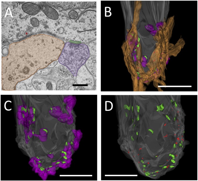 Fig. 3.