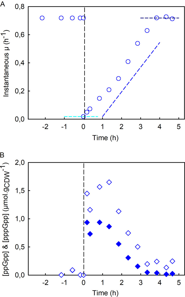 FIG 2