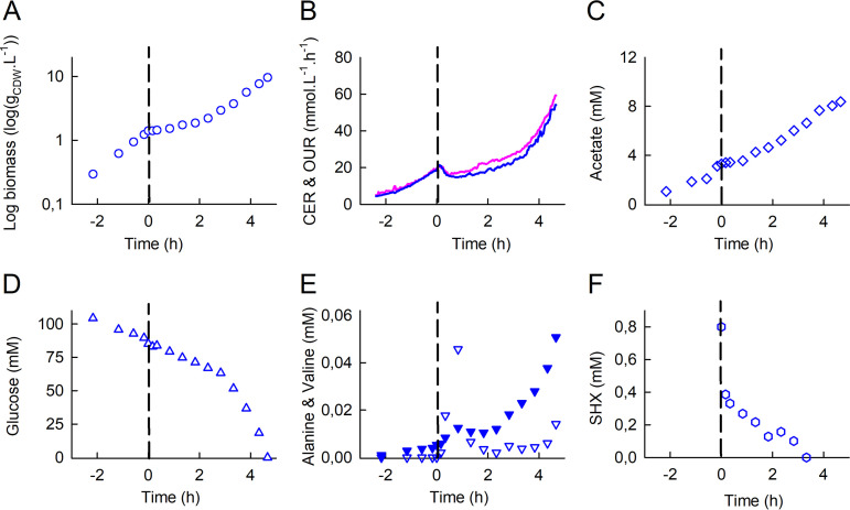 FIG 1