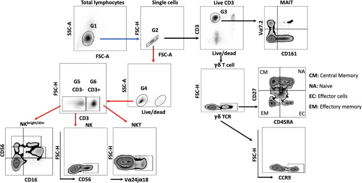 Figure 2