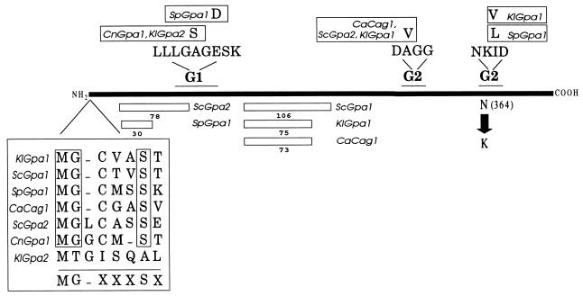 FIG. 1