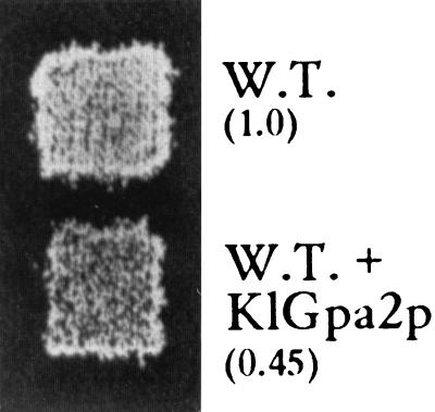 FIG. 3