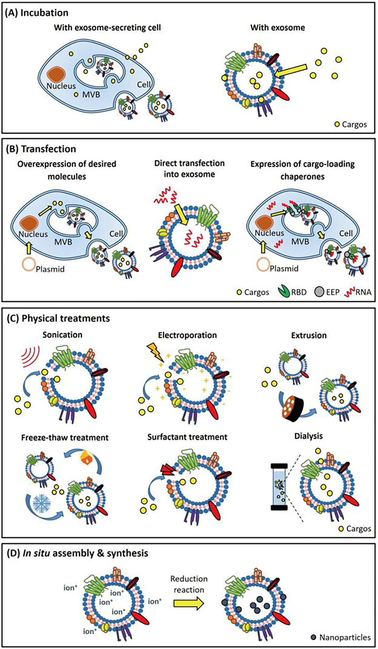 Figure 4: