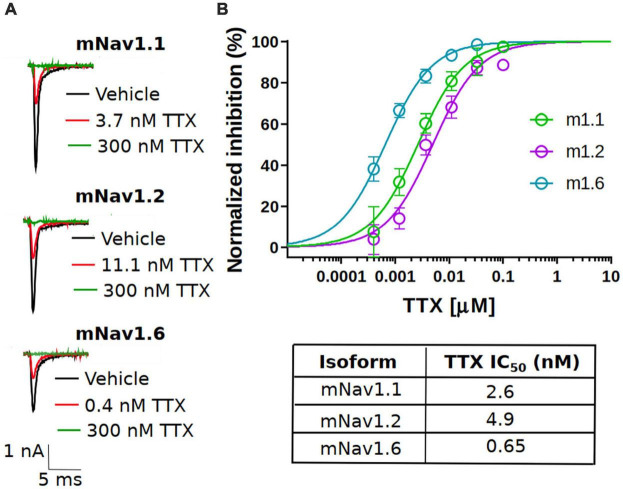 FIGURE 1