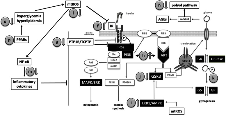 FIG. 3.