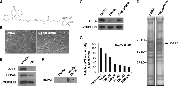 Figure 3