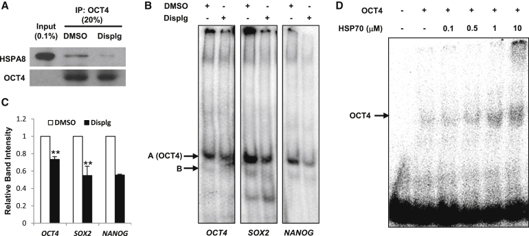 Figure 5