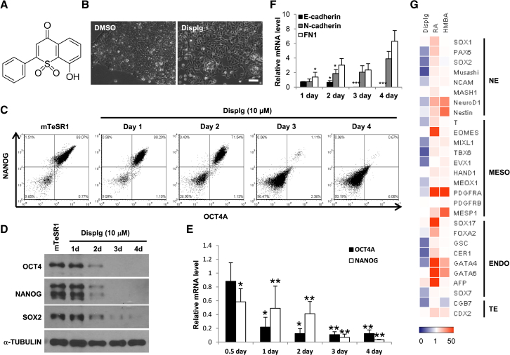 Figure 2