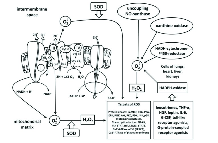 Fig. (1)