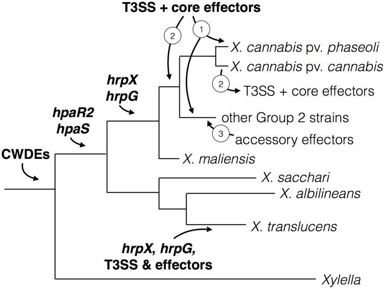 Figure 6